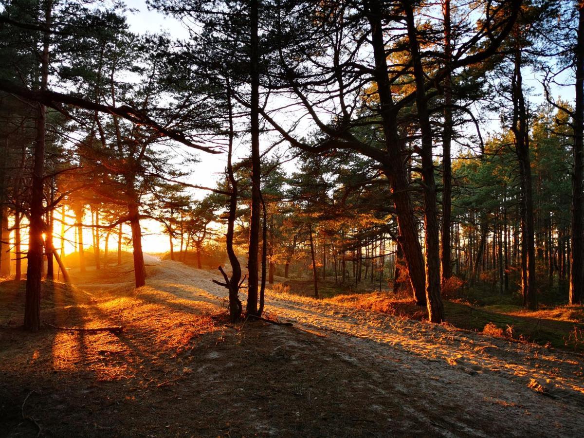 Sunny Pines Apartment Palanga Eksteriør bilde